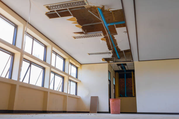 Best Sewage cleanup and water damage restoration  in Pine Ridge, SC