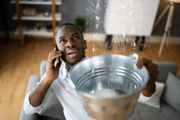 Best Water damage restoration cost  in Pine Ridge, SC