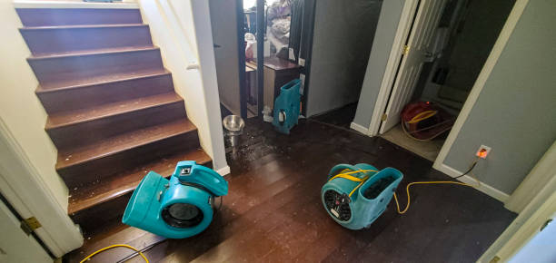  Pine Ridge, SC Water damage restoration Pros