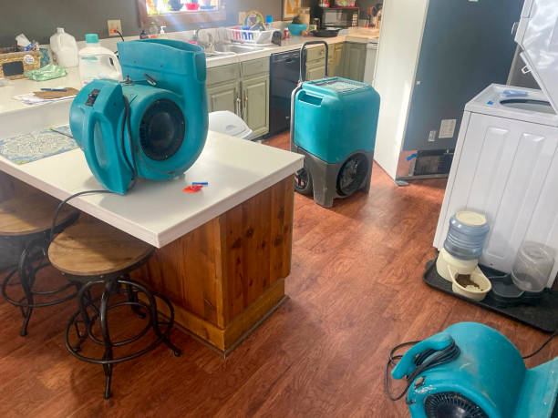 Best Water damage restoration near me  in Pine Ridge, SC
