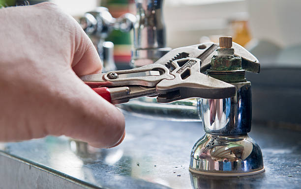 Best Professional water damage repair  in Pine Ridge, SC