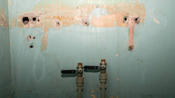 Best Local water damage restoration  in Pine Ridge, SC