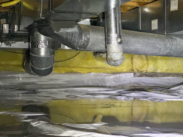 Best 24-hour water damage restoration  in Pine Ridge, SC